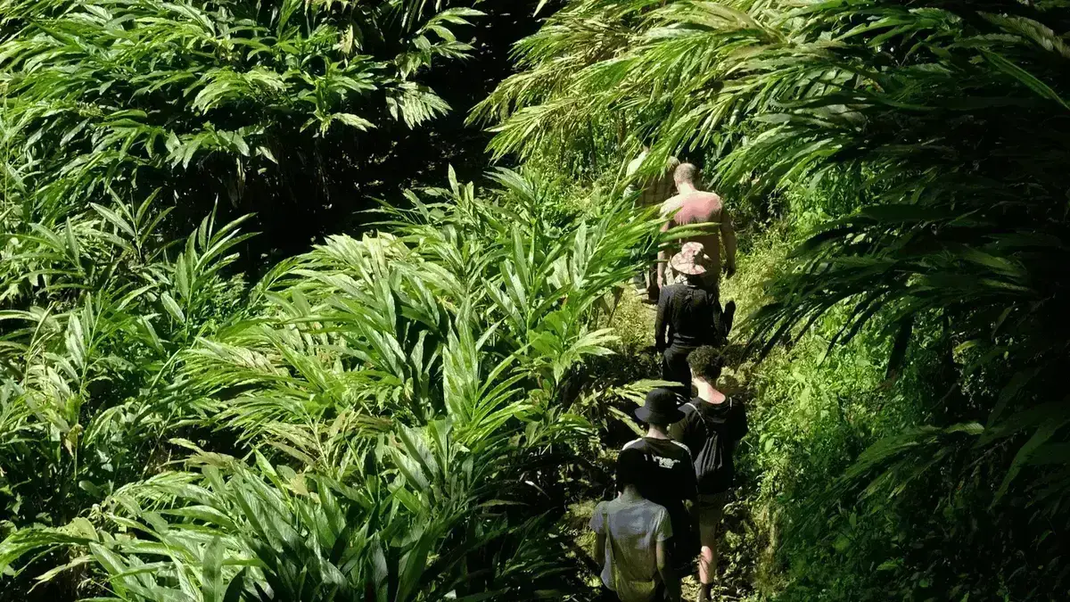 Best Time to Visit Munnar: A Month-by-Month Travel Guide